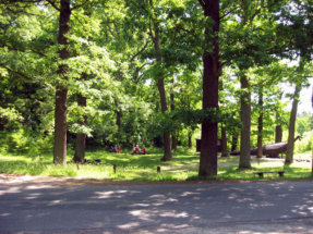 0209 - Königsblick 2_jpg
