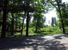 0210 - Königsblick 3_jpg